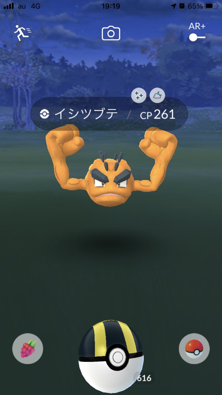 Kenikoni アローラの色違いイシツブテきた 黄金のやつも欲しい ポケモンgo ポケモンgo色違い T Co Jw7l5bibnp Twitter