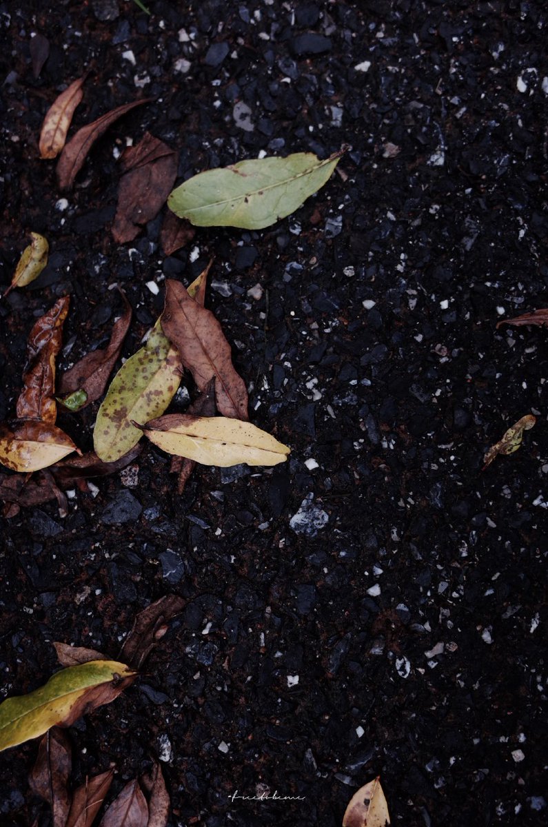 教你懂事的人永远比安慰你的人更爱你。