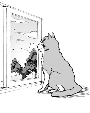 窓辺で黄昏る猫を描きました#猫好きさんと繋がりたい #ZEROの猫イラスト#猫漫画 