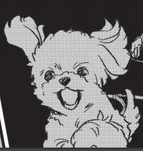 私が描くトイプーかわゆじゃないですか? 