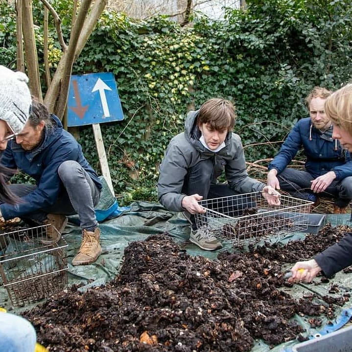 milieucentrum's tweet photo. Het 1ste '#compostfeest' bij 't #wormenhotel in #Blijdorp. Een mooie #compostoogst voor de (gevel)tuintjes in de buurt! Per wormenhotel kunnen tussen de 20 - 35 huishoudens mee-#composteren #circulair #rotterdamcirculair @circulair010 https://t.co/3a9XJRd14b