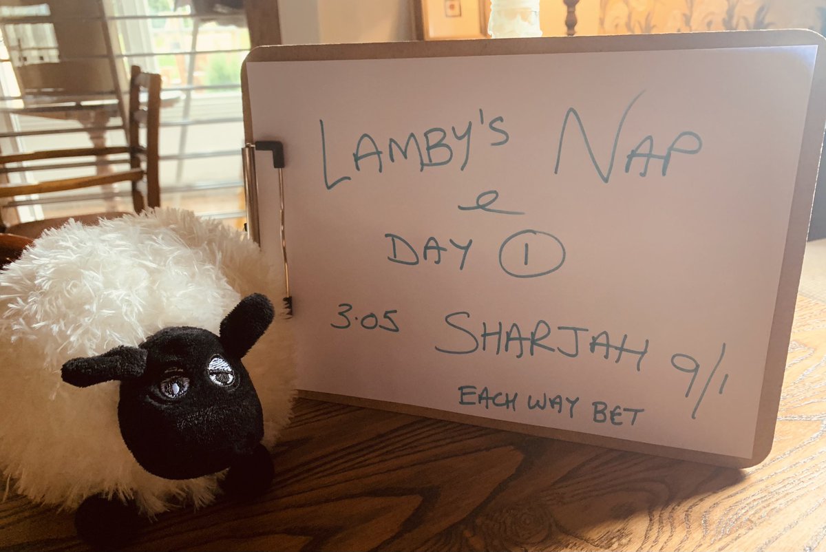 The Cheltenham Festival is upon us 🏇🏇🏇
Unfortunately we can’t watch it together this time, so how about a bit of fun,
Lamby will post his best bet of the day each day 😬
Whats your best bet today?
#cheltenhamfestival #cheltenhamroar #bestbet #napoftheday
