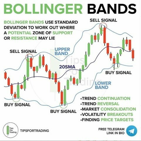 Forex Trading Review Guide tweet media