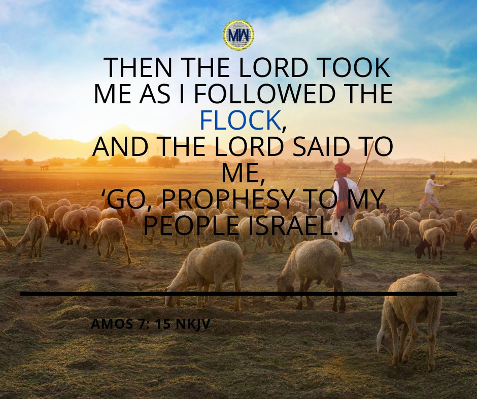 Today's Verse |  Then the Lord took me as I followed the flock, And the Lord said to me, ‘Go, prophesy to My people Israel.’ - Amos 7: 15 NKJV