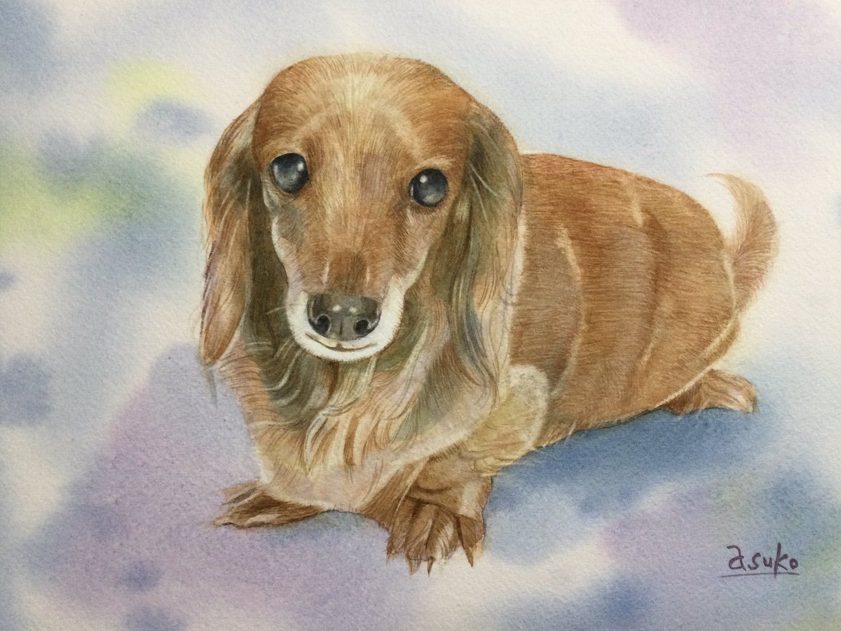 ご依頼参考作品の下図 ダックスフント Simplexity News ご依頼参考作品の下図 ダックスフント Simplexity News