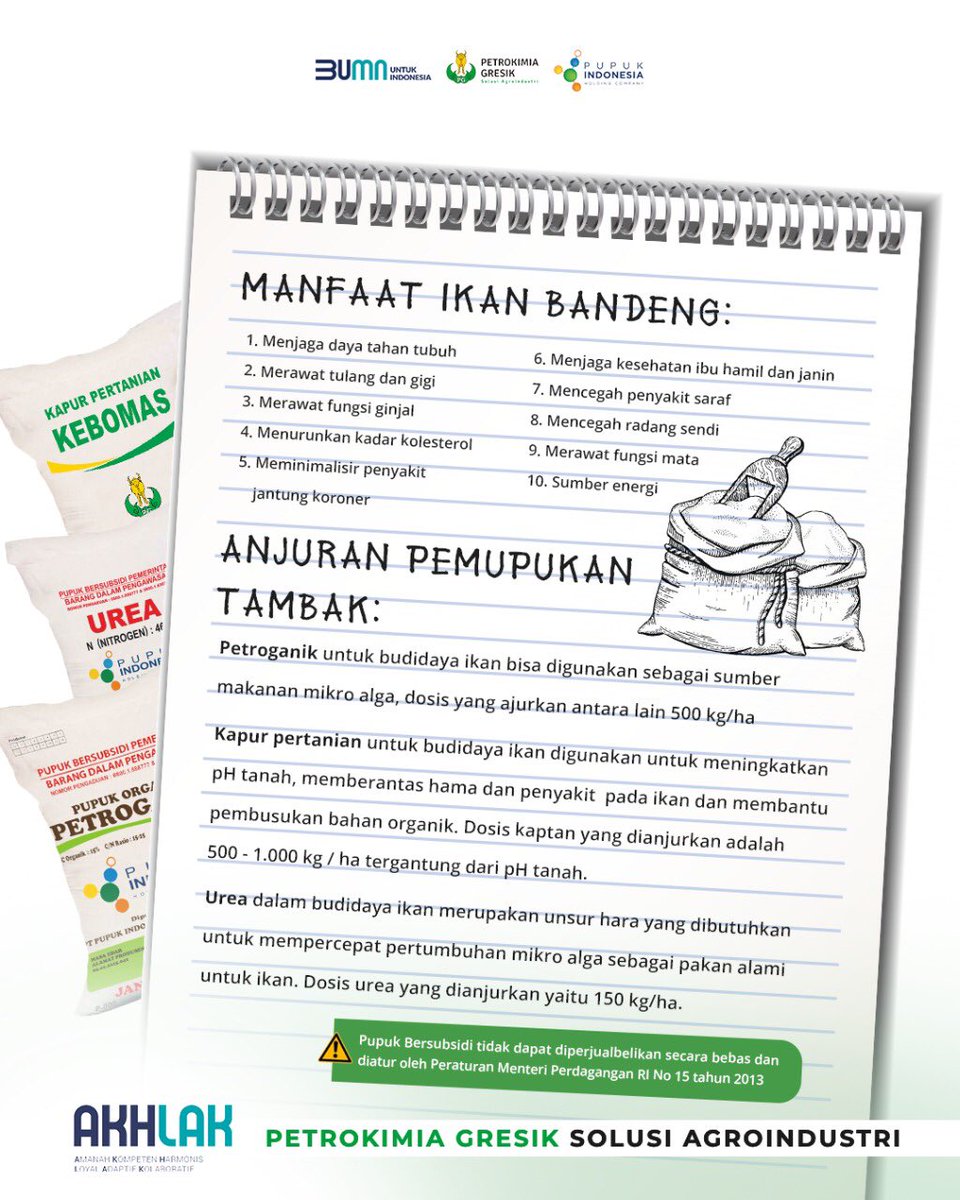 petrogresik's tweet image. Bandeng asap, presto, otak-otak. Oleh-oleh khas kota mana, nih? Sahabat Petro tahu nggak? 😄

Ikan bandeng selain enak diolah jadi masakan apa aja, juga mempunyai banyak manfaat untuk tubuh kita! Nggak kalah manfaatnya dengan ikan laut!

#PupukIndonesia #Agrosolutions