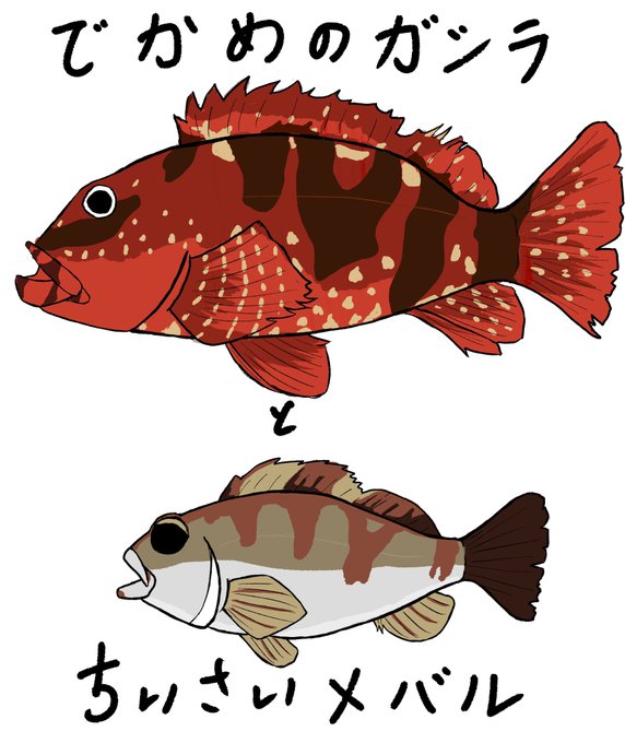 さかないらすとのtwitterイラスト検索結果