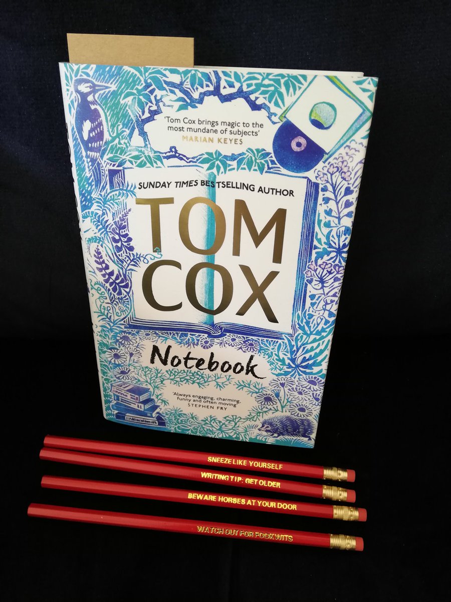 Lynne Taylor tweet media