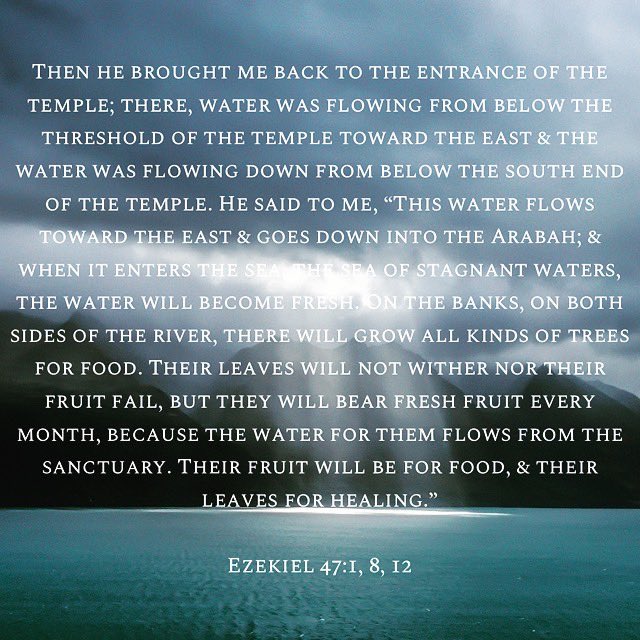 ✝️ Team Jesus ✝️ tweet media