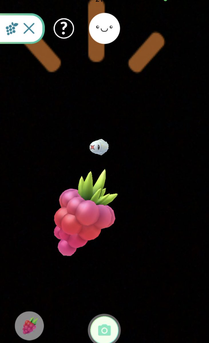 色違いは都市伝説 ポケモンgo シビシラス シビシラスさん おやつをあげる時のびっくり 感 可愛い ポケモンgo Pokemongo シビシラス