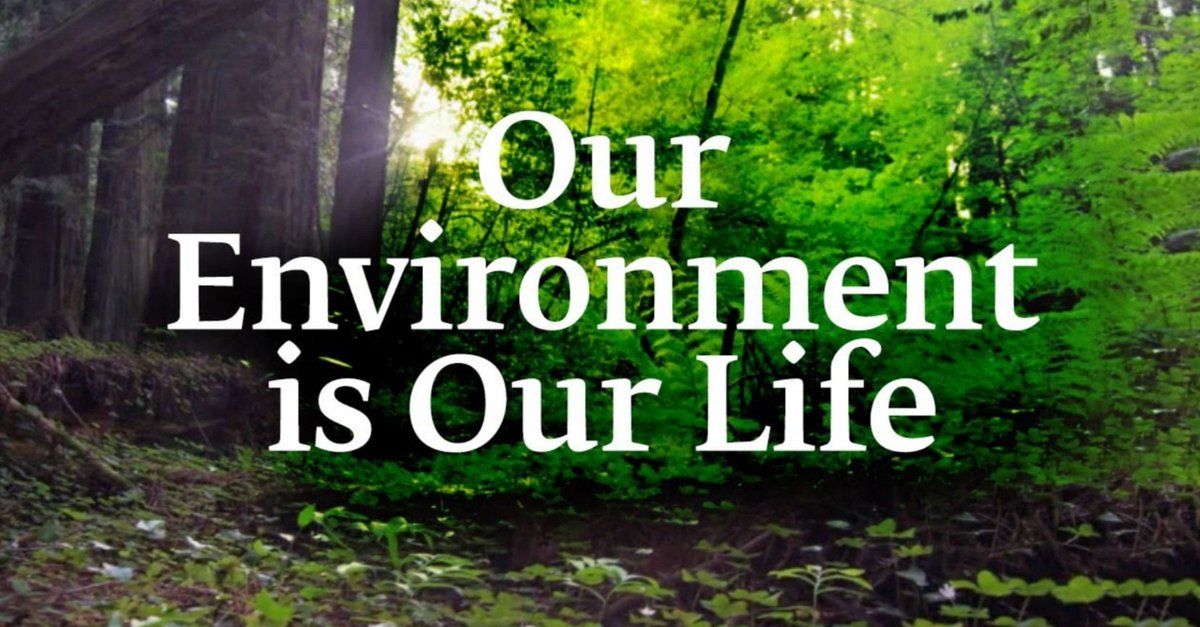 Is to protect life. Our environment. Environment is. Protect our environment. Protect our environment фото.