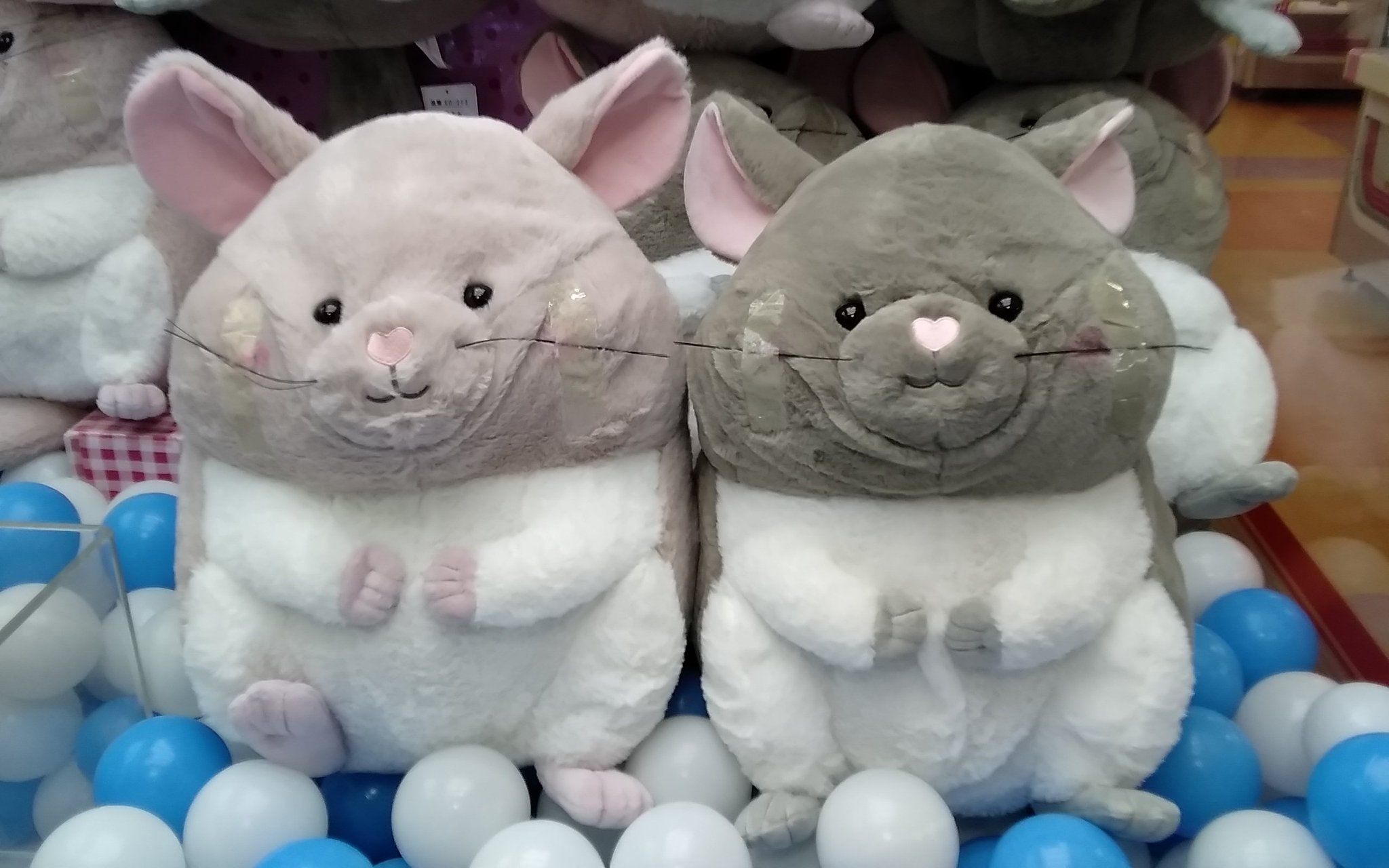タイトーfステーション燕三条店 新景品情報 もふもふ チンチラ Bigぬいぐるみ 全２種 うみものシリーズ あみあみうーぱー 全２種 ツイステ ツイステ エクストラ運動着ぬいぐるみ ポムフィオーレ寮 イグニハイド寮 全５種 Tfs燕三条