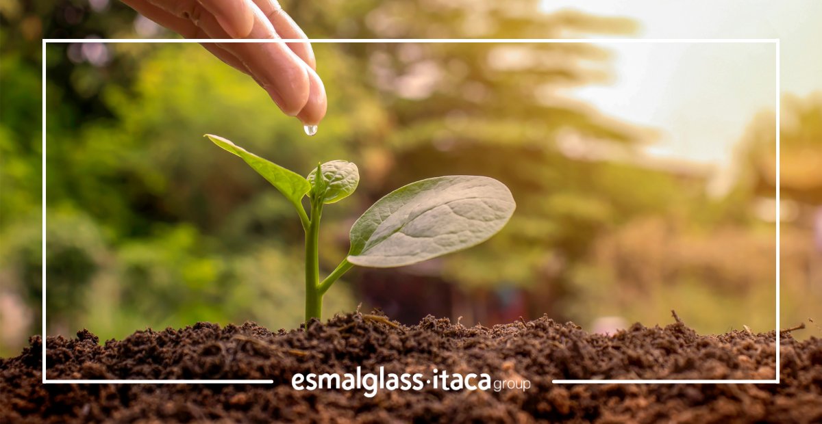 esmalglass-itaca tweet media