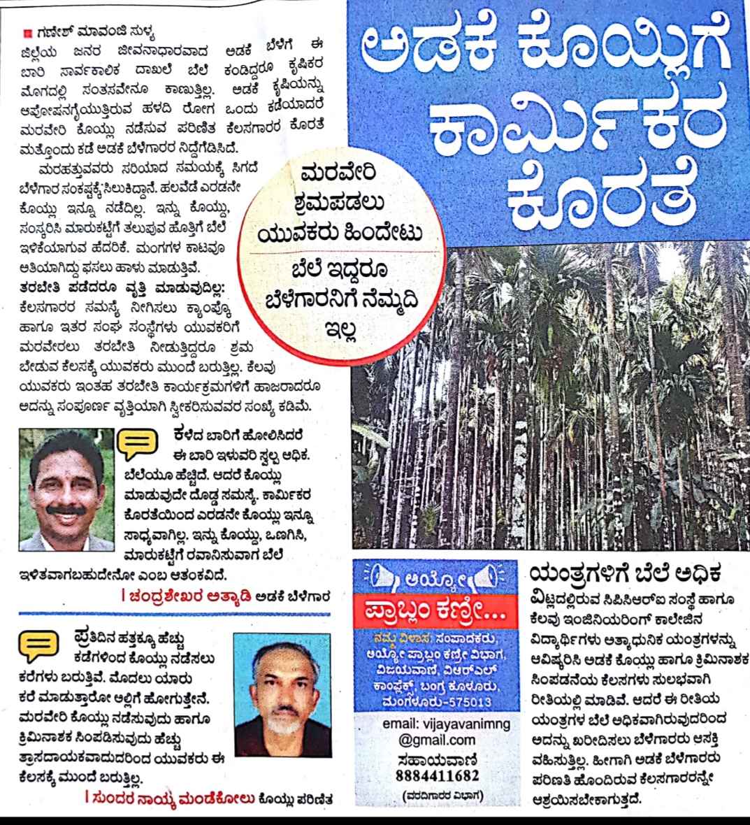 Mavanji_TNIE's tweet photo. Due to shortage of skilled labour, harvesting of arecanut is a big challenge in coastal area 

https://t.co/U7toDT7l49 https://t.co/VT4MUA6ViQ