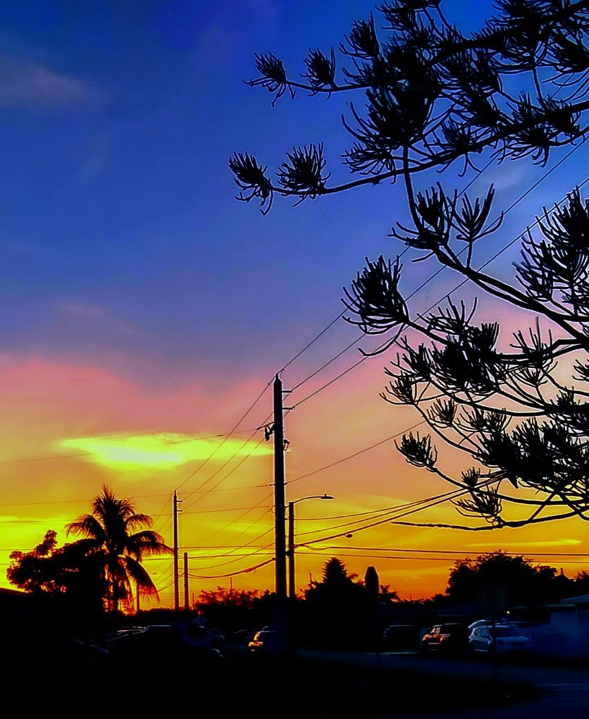 JorgeGNYCMIA's tweet photo. @JorgeG179 #Miami #Sky #Sunset #Palmtrees #Trees #photodaily #photography #photooftheweek #photosession #skyphotography #streetphotography #lensflare #SunsetOneEvening #riseandshine https://t.co/W6KYpMl1FI