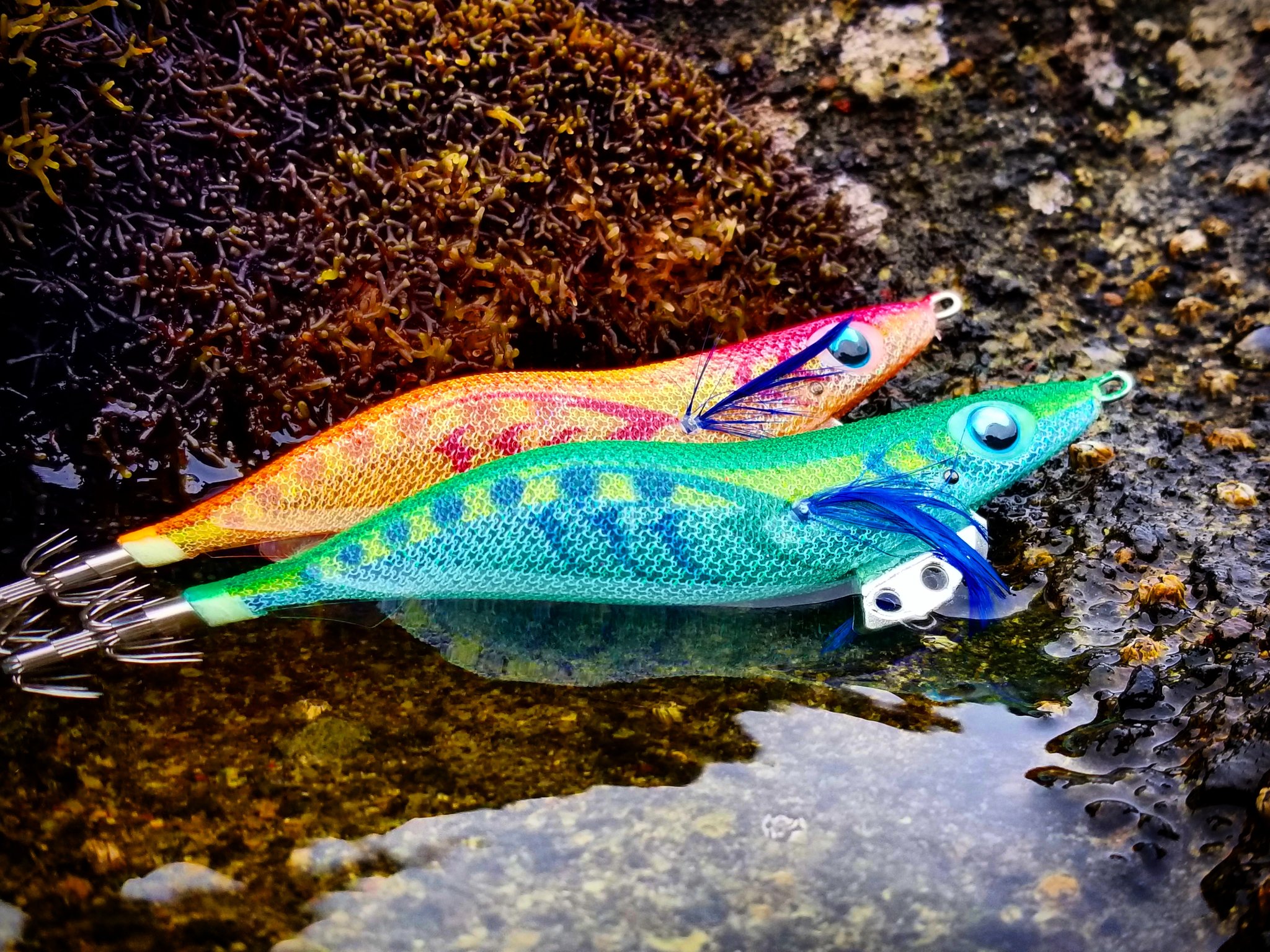 川上英佑 濁り潮だけでなく 曇りや雨のローライトな状況でも高い視認性を確保してくれるオレンジ ライトグリーン 紫外線量の増える春 初夏にかけて ケイムラがより活躍する場が増えるシーズンの到来ですね エギ王kシャロー エギ王kスーパー