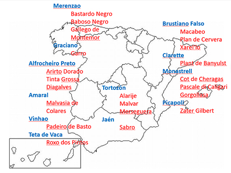 Spanish Wine Lover tweet media