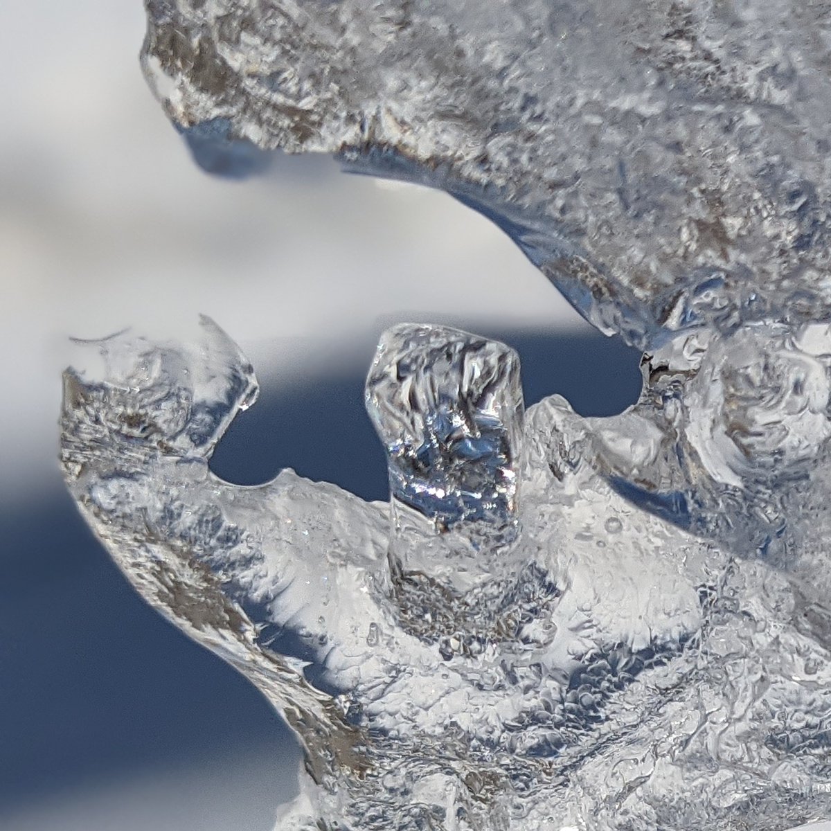 troydcarson's tweet image. 061