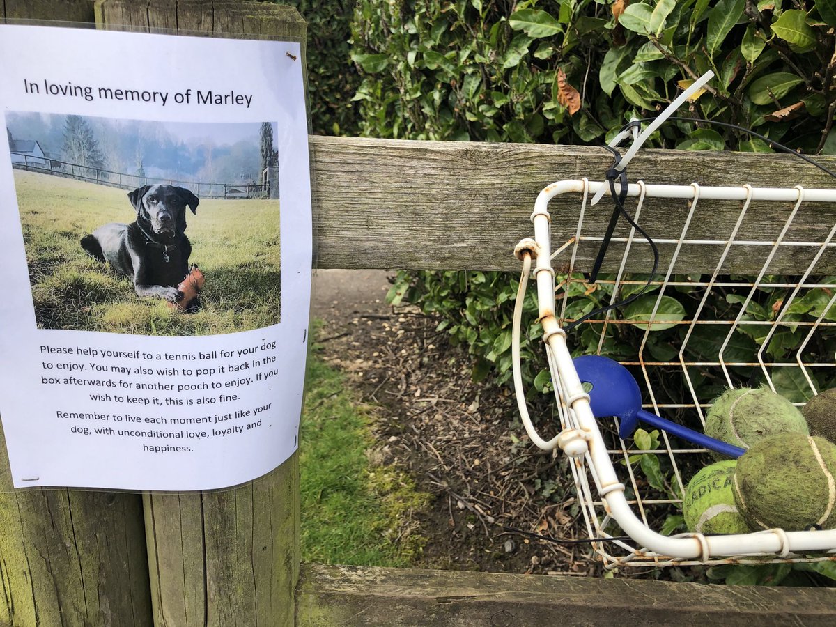 andynairn's tweet image. I don’t have a dog and didn’t know Marley or his owner but this really got me on my walk.  💔