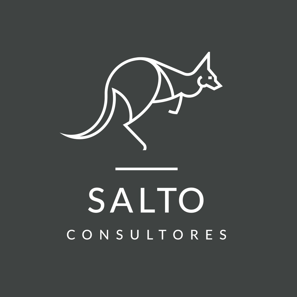 Con alegría y mucha ilusión os presento la imagen de mi proyecto más personal... SALTO Consultores. Espero que os guste!! En breve más novedades...