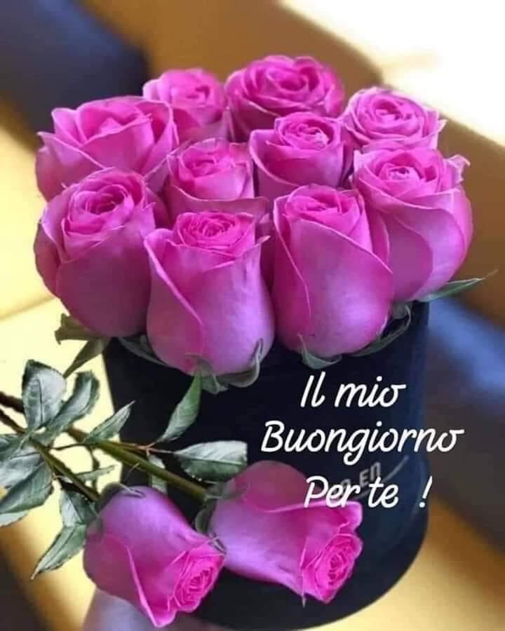 Il mio buongiorno per voi.