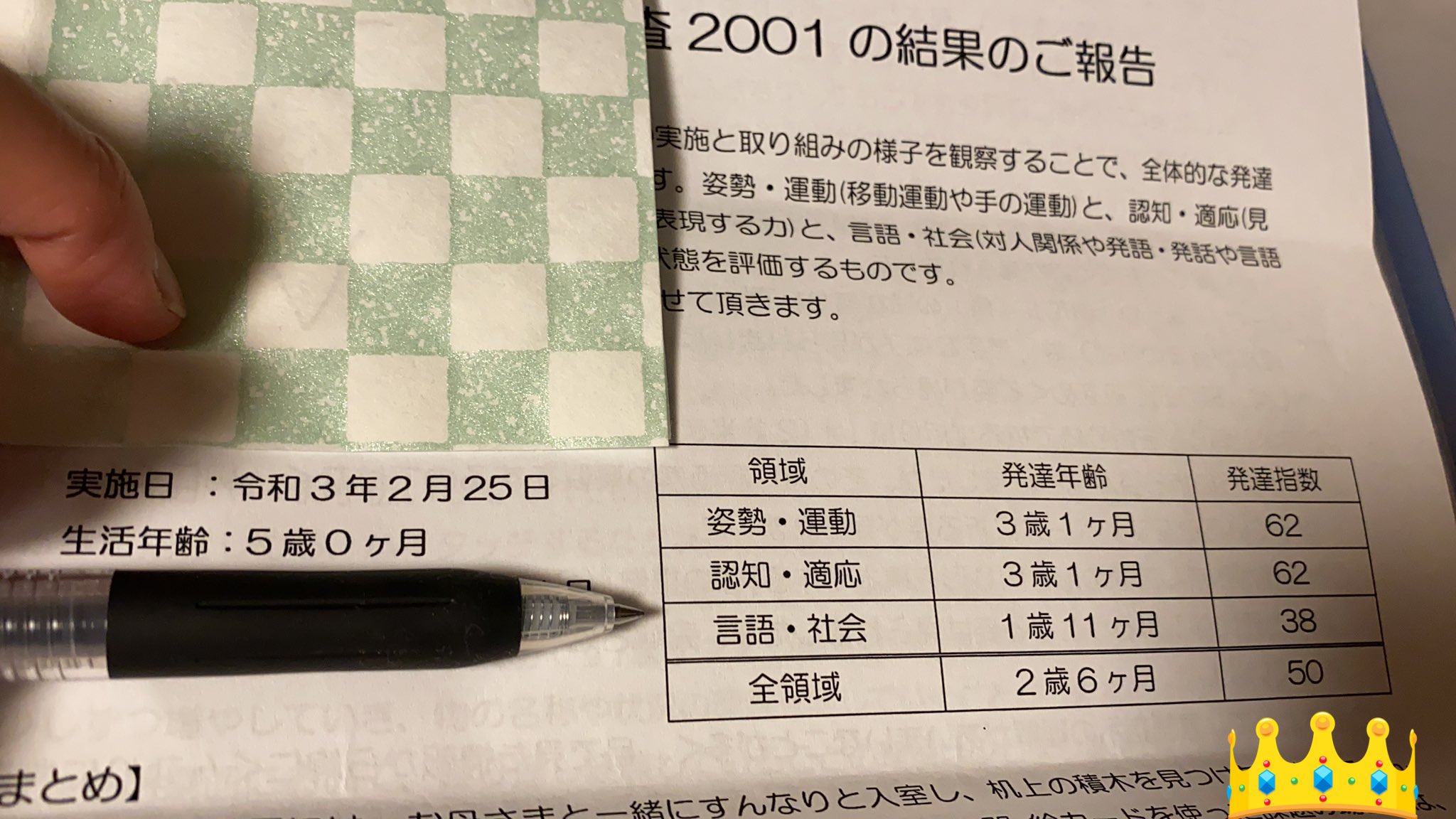 ２児ママ ゆるりと藤川理論メガビタミン 腸活実践中 ﾉ On Twitter 左が前回の新版k式発達検査2001 右が先月受けた新版k式発達検査2001 発達年齢は上がりましたね しかしながら 年齢も5歳になってるので姿勢 運動の発達指数が大幅に下がる結果に
