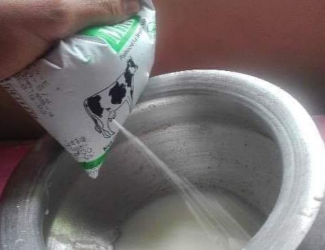 นมวัวจากเต้า