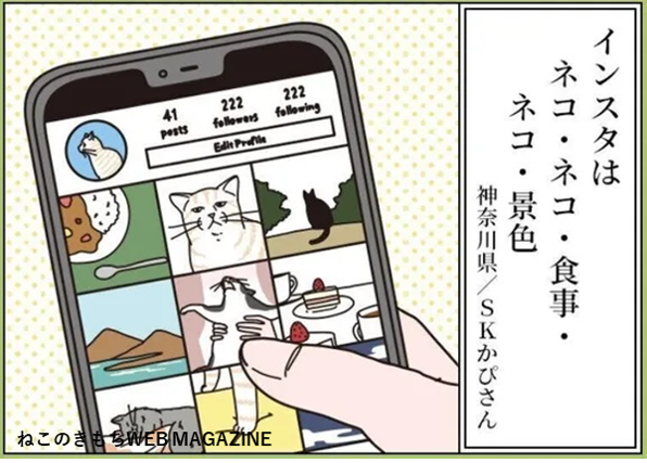 【猫あるある川柳入賞作品】
★最優秀賞
「大きさは 入ってみてから 考える」
猫飼い主さん、猫好きさんなら思わず頷いちゃう!?
笑いのセンスが光る、猫飼い主さんたちのおもしろ一句!
▼その他入賞作品&投稿者さんの裏話や川柳の解説はこちらから!
https://t.co/6rRN4dK13v