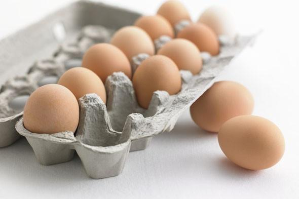 npcs_in's tweet photo. Egg Tray Manufacturing Industry: Going On Rising
https://t.co/p1C7kaMIGf
#DetailedProjectReport #businessconsultant #BusinessPlan
#feasibilityReport #NPCS #industrialproject #entrepreneurindia #startupbusiness #EggTray #EggTrayIndustry #EggTrayPlant #projectconsultancy https://t.co/QTPFSdnvGK