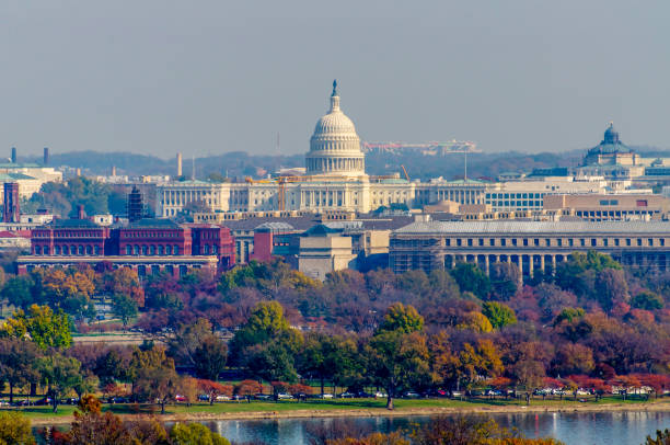 10000Turks's tweet photo. Are you a student looking to learn and serve in #government services? 

@tcamerica has announced a remote summer 2021 #internship for @SenBlumenthal in his DC &amp; CT offices. Applications are due March 19th @ 11:59pm: https://t.co/3r0atoVeah https://t.co/F7ND5xg2JE