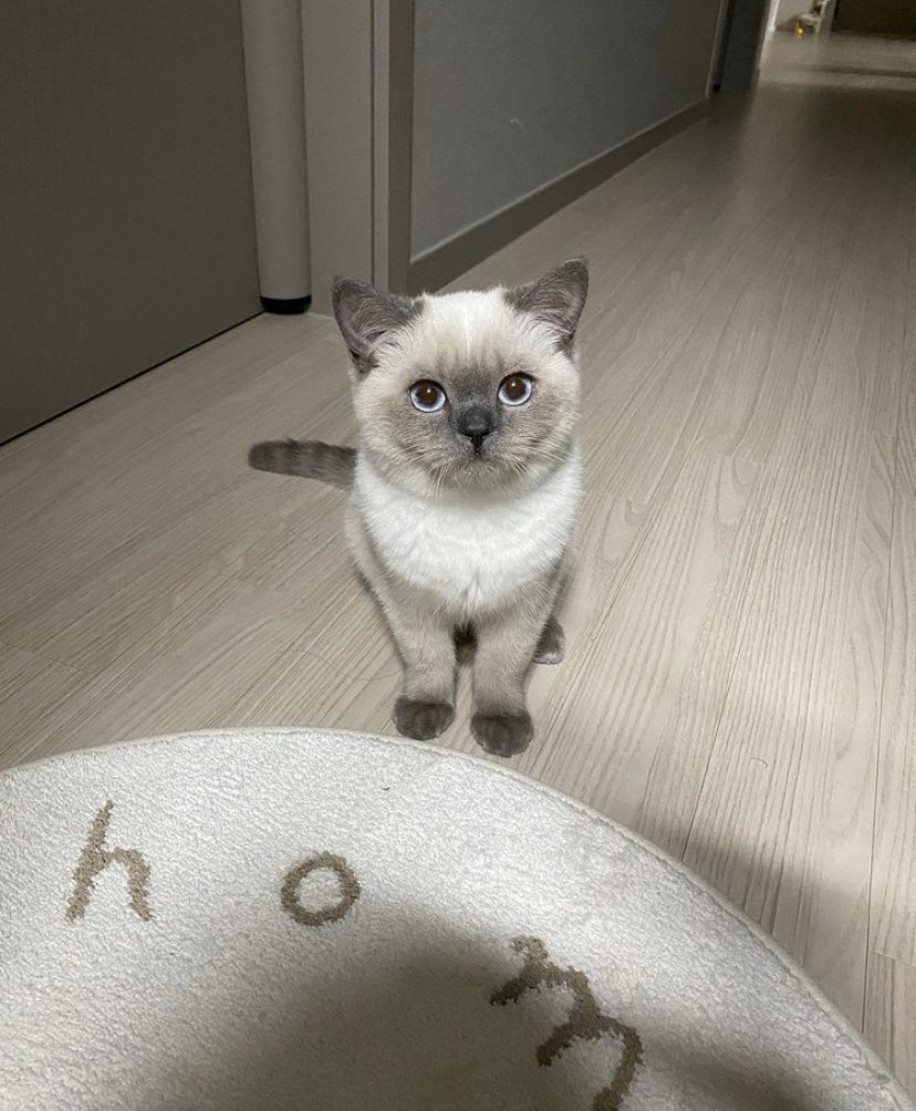 อุนแมะบอกหั้ยทากันแดดฉองข้อนิ้ว แต่นุยืม หน้าดำเนย แงๆๆ