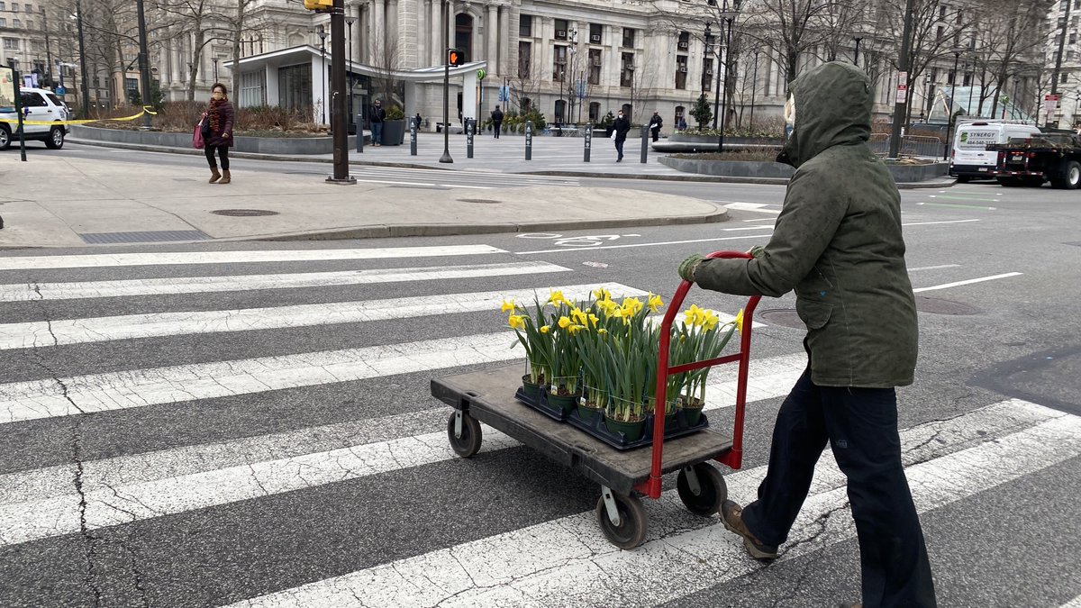 HughE_Dillon's tweet image. Spring is being wheeled in for Dilworthpark