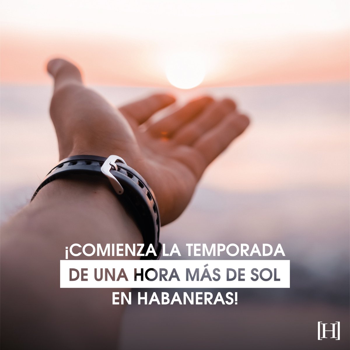 Habaneras tweet media