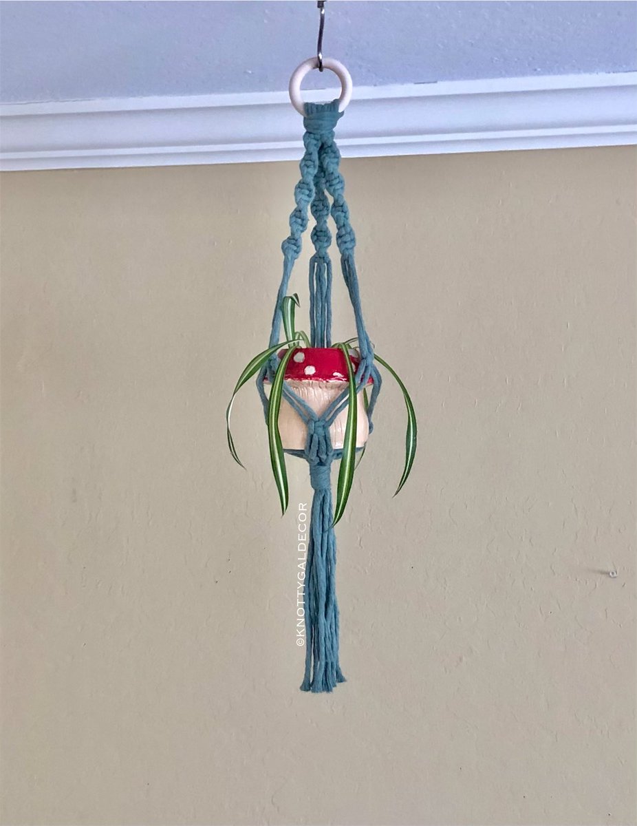KnottyGalDecor's tweet photo. 🌟🍄🌟Collab Alert🌟🍄🌟

Best of both worlds ☺️🎉
@KnottyGalDecor X @ceramicsbyjaz 

The most adorable mushroom hand made ceramic pot, hugged only by the softest 100% recycled macrame hanger💖

Dropping March 19th @ 9:00am(pst)

🌟3 colors will be available🌟 https://t.co/8CvaEwHvNm