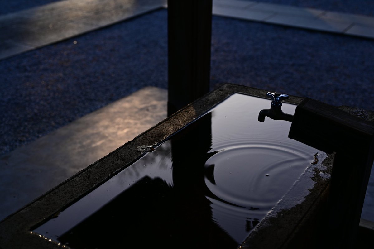 sounds_g00d's tweet image. Nikon Z6
NIKKOR Z 50mm F1.8 S
#photography #nikon #light_nikon #nikonglobal #nikonphotography #nikonnofilter #nikonz6 #z6 #z50f18
