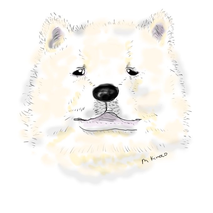 秋田犬pのtwitterイラスト検索結果