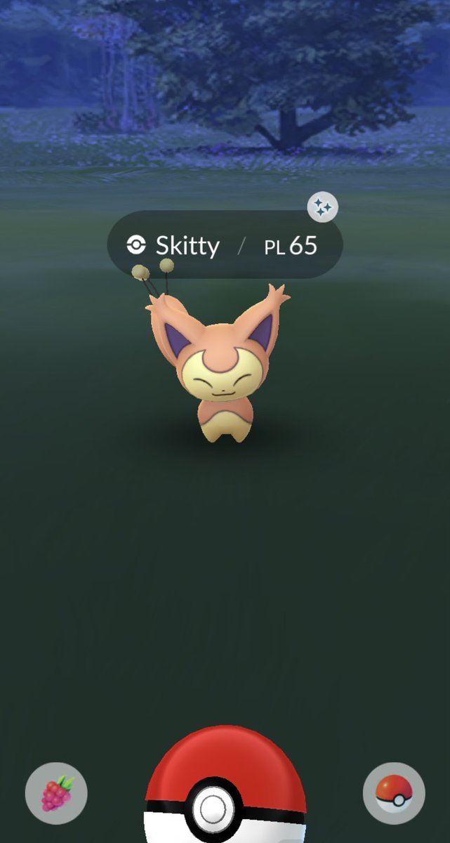 Manuel__Leto's tweet photo. Se prima di andare a dormire è sempre così ci metto la firma 🥰

#shiny #shinypokemon #gaymer #pokemon #pokemongo 
@PokemonGoApp @PokemonGOit @PokemonGoRaidIt @PokemonGOfr @PokemonGOespana @NianticLabs @Pokemon @PokemonIT @coupleofgaming https://t.co/xqBWP4uTao