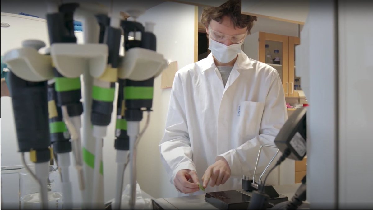 eSCALED_project's tweet image. As part of Uppsala University’s digital SciFest 2021 event, ESRs Afridi Zamader and Andrew Bagnall helped prepare Ångström laboratory’s exhibition, “Secret life of plants – the scavenger hunt”, to explain photosynthesis and its origins to schools in Sweden. 🇸🇪 #scifestuppsala