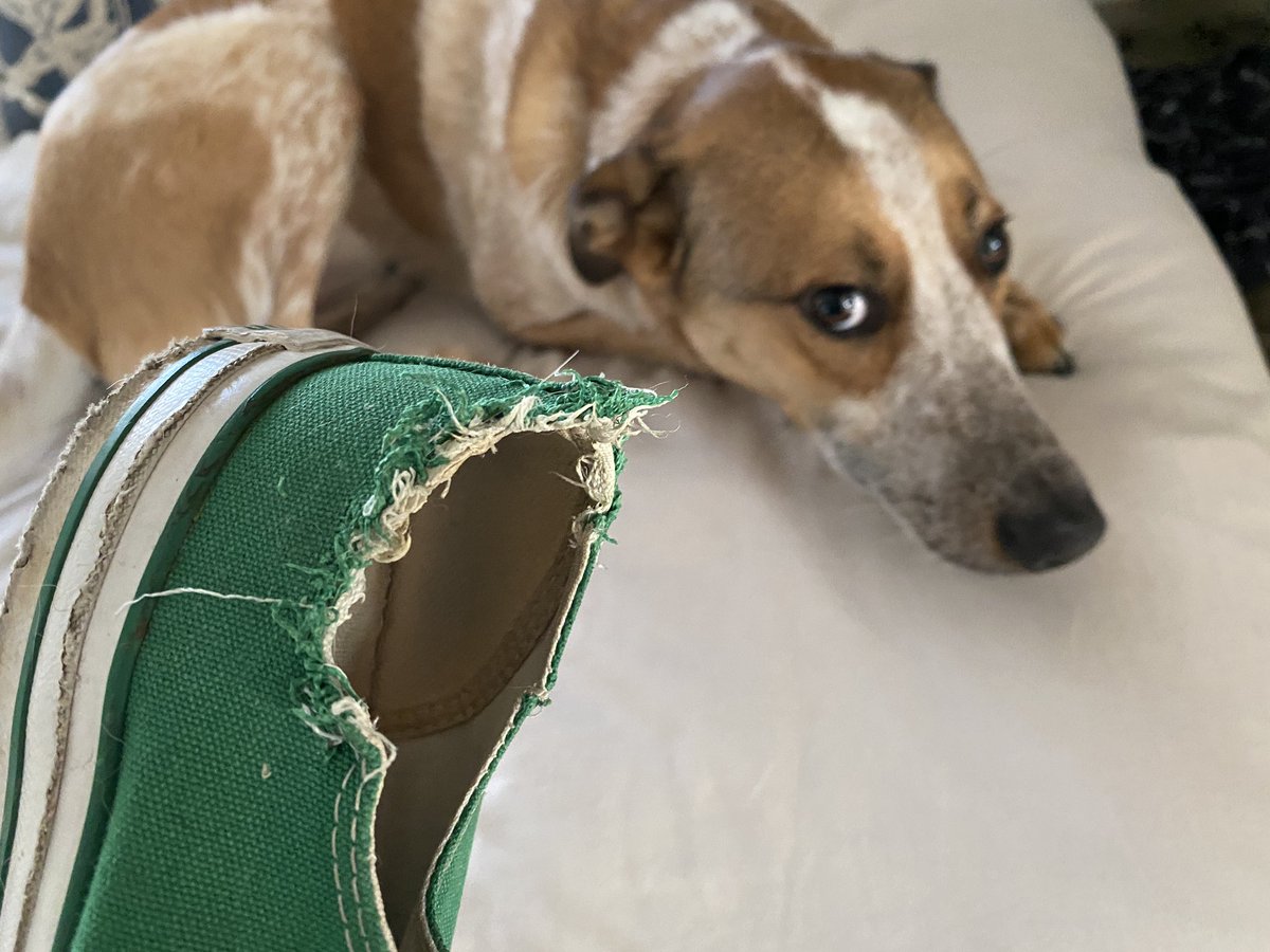 Tommy McFLY tweet media