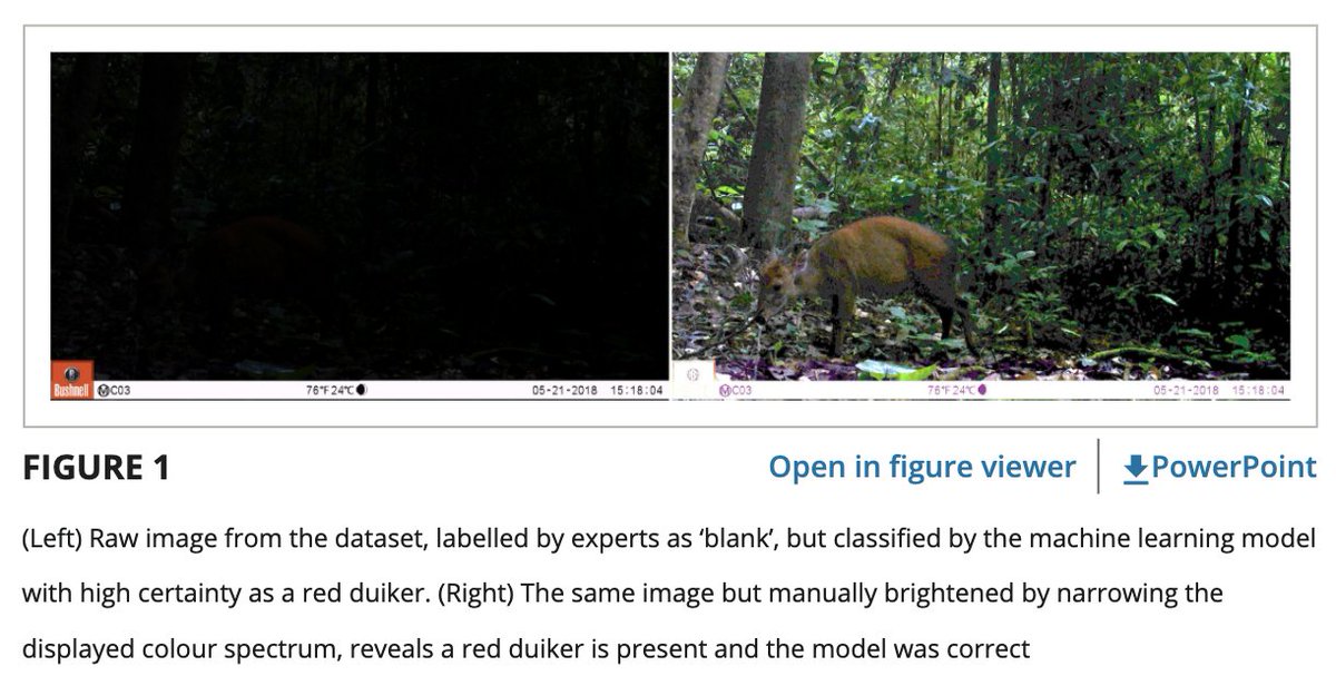 The computers are starting to see better than us now!! Watch out :) 

besjournals.onlinelibrary.wiley.com/doi/full/10.11…