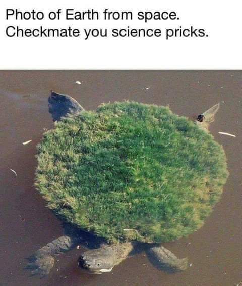OrgPhysics's tweet photo. https://t.co/qVFaOHBSwq