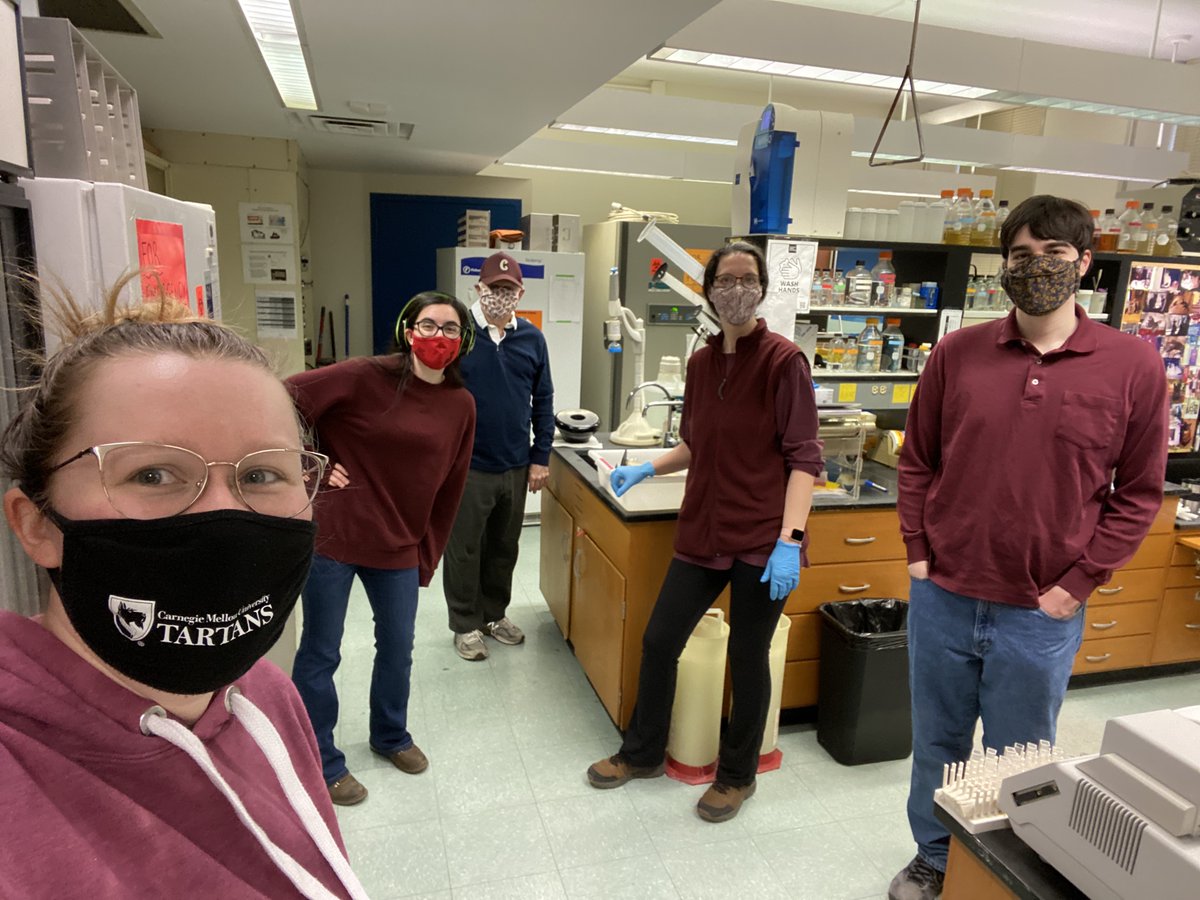 Woolford Lab tweet media