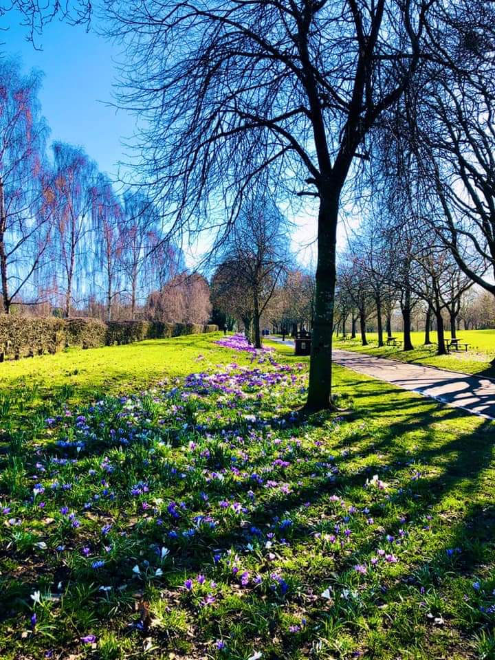 cdlucky13's tweet photo. "In every walk with nature one receives far more than he seeks." John Muir 🌷🌤 #littlepocketsofjoy #SeekingSunshine #SpringFlowers #walkingforwellbeing #gratitudeattitude https://t.co/9wQpE2UiMd