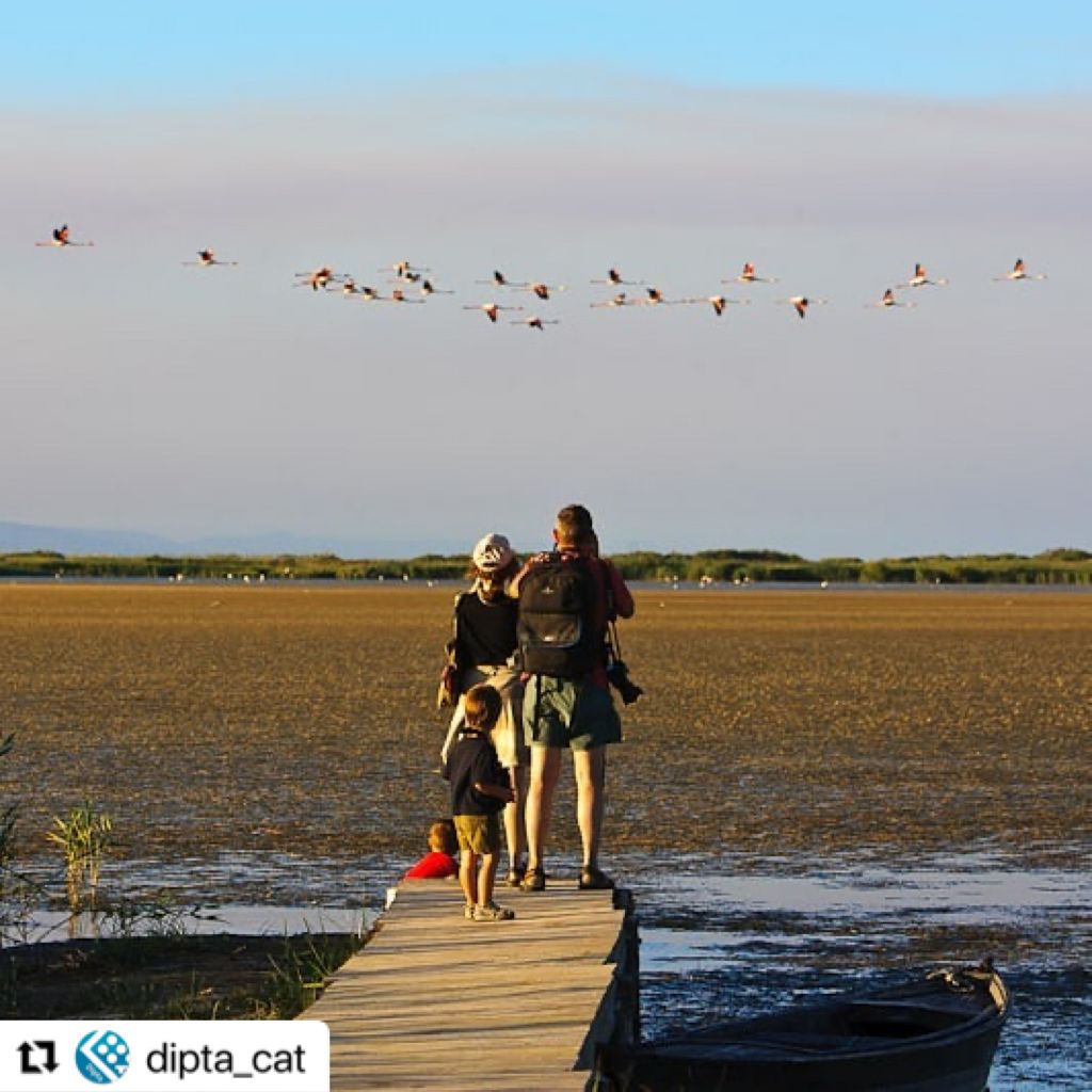 🌊El turisme sostenible de les #TerresdelEbre ⛰️ rep un nou 🏆reconeixement  internacional: la certificació Quality Coast i Green Destination #TurismeDipta 

#deltadelebre @Dipta_cat  @ajlarapita @AlcanarAJ @La_Senia @ajamposta @AjuntUlldecona @MasdeBarberans