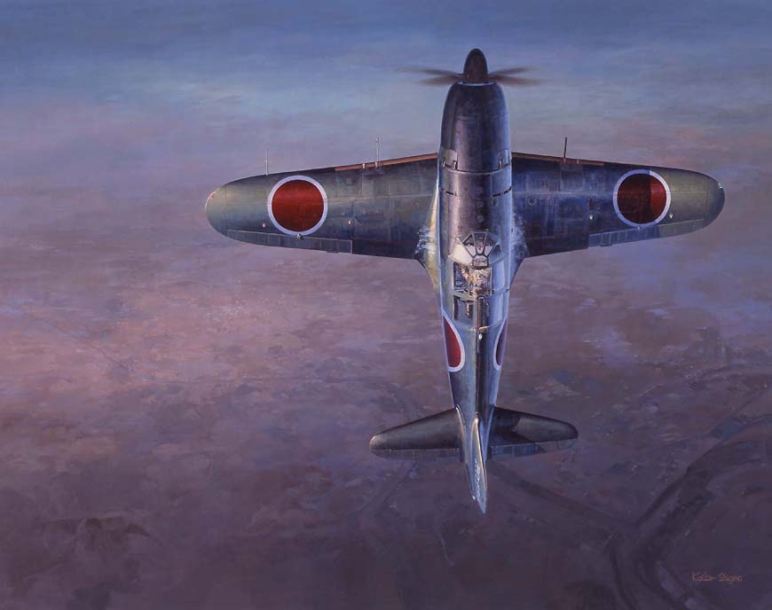Nikko Seihan With The Air 50 Works Of Koike Shigeo Aircraft