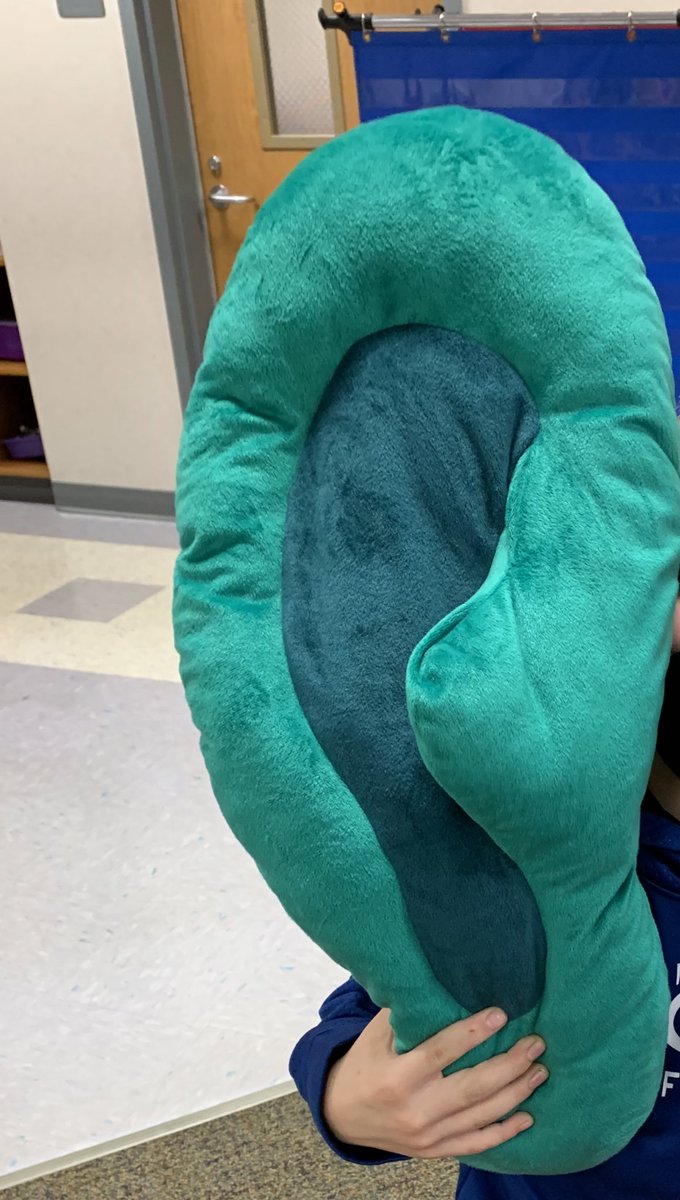 <a href="/SycamoreACSC/">Sycamore Elementary</a> K students met Big Green Ear today! We watched <a href="/WonderGroveKids/">WonderGrove Social Skills</a> video about listening with #understanding and #empathy while practicing our skills! <a href="/OrioleTweets/">Avon Community School Corporation</a>