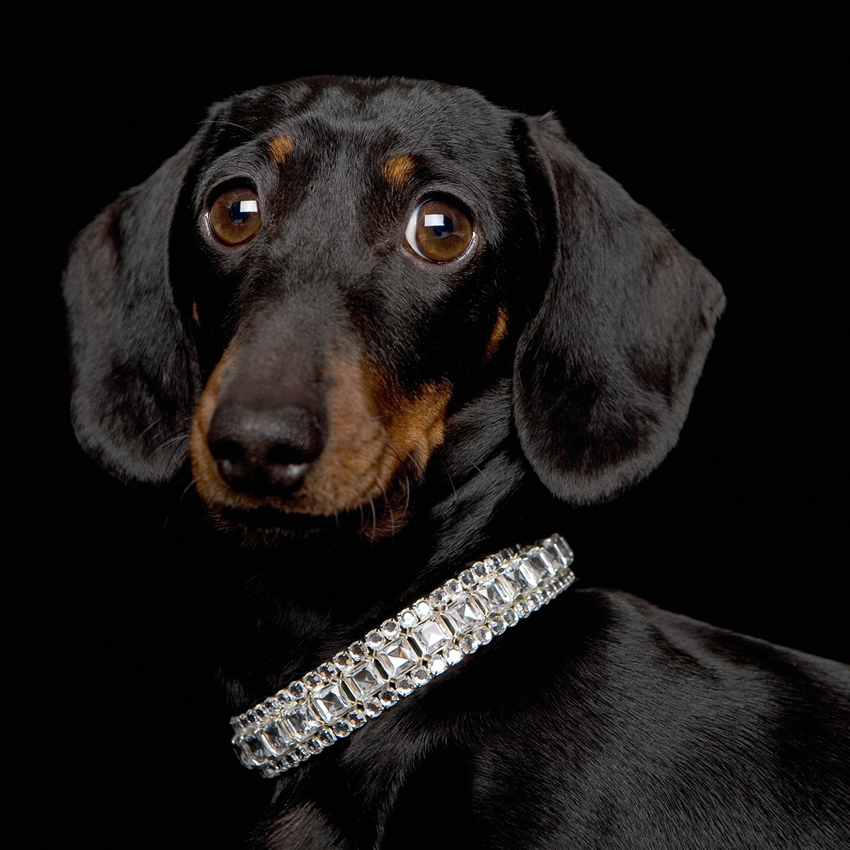 The largest diamond is a whopping 1,109 carats. That's about the size of a tennis ball. You may not have any rocks that big to insure, but if you do have a new, blingy purchase you want to cover, shoot me an email and let's chat.