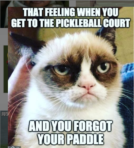 PickleballHut's tweet image. Have you ever been in this situation? 😂😂 

Got this pickleball meme from buff.ly/3l8f9Pa to start the week with a good laugh 😉 #pickleballmeme #pickleball