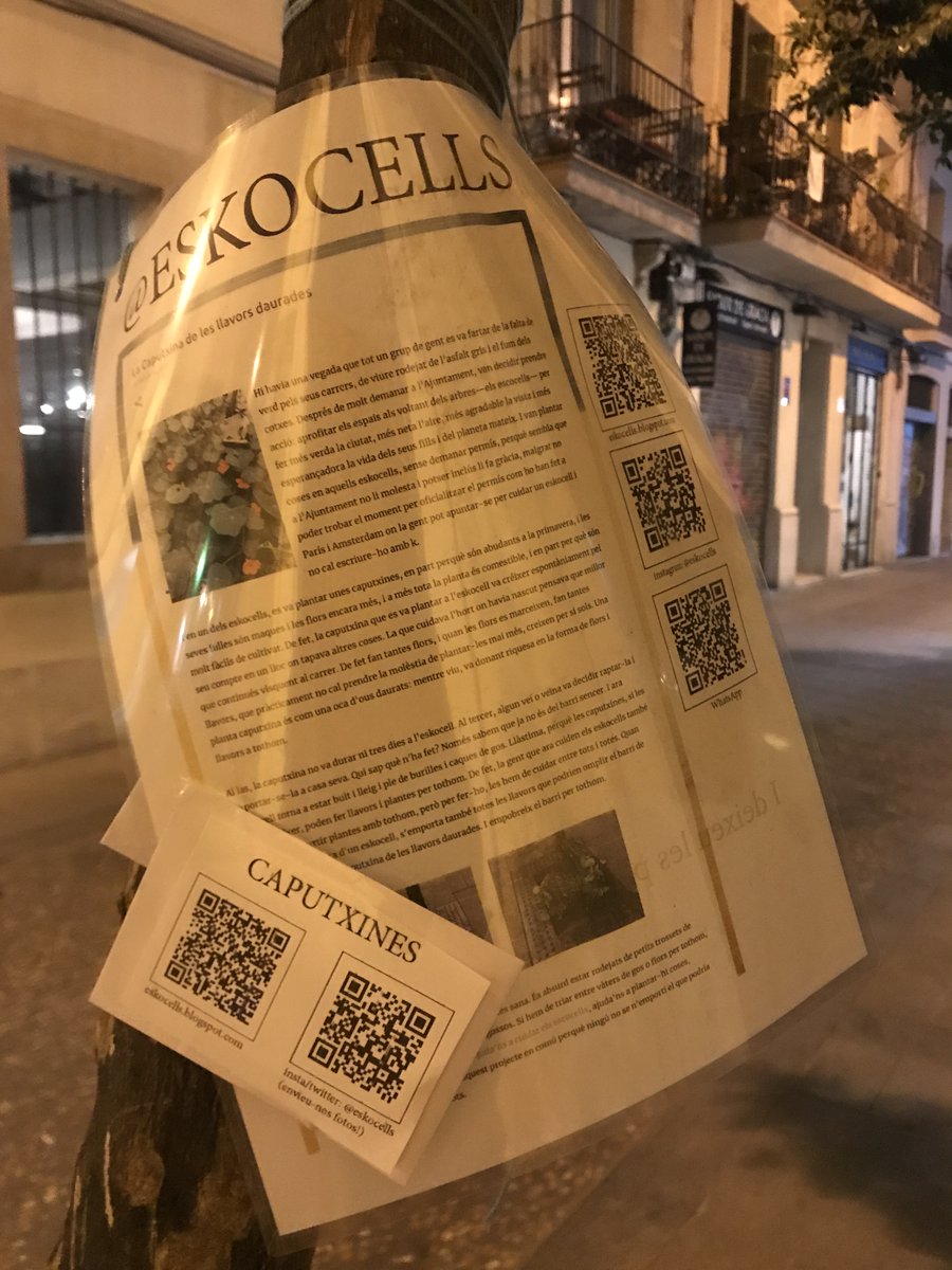 lizcastro's tweet photo. Així que vaig plantar caputxines en un #eskocell dissabte i avui algú les ha pispades. La gent és tan rara. Però jo més. Les tornaré a plantar, i mentrestant hi he deixat unes llavors gratuïtes de caputxines i un petit conte... (C/ Sant Domènec) https://t.co/KDjXYJS5vd https://t.co/VA4i1N7WUJ