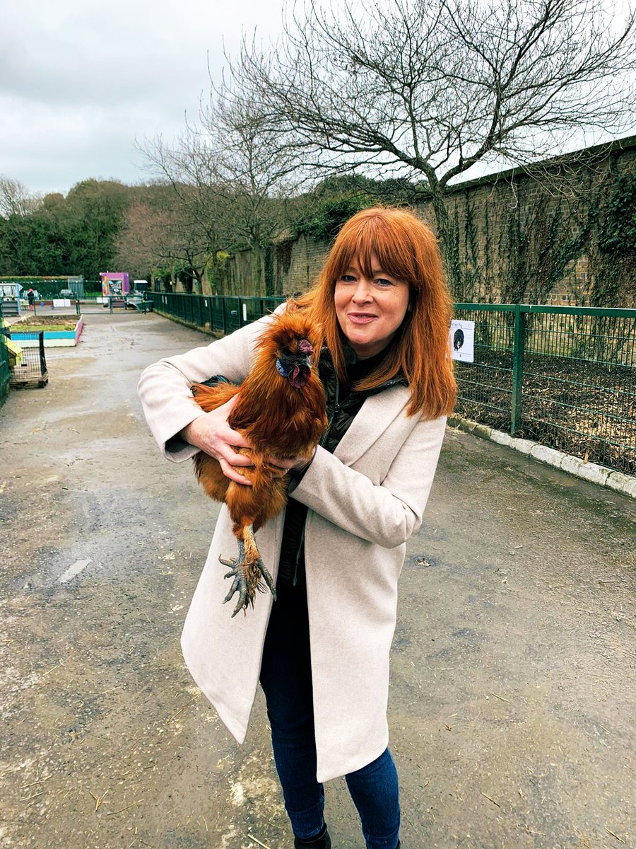 BlathnaidRua's tweet image. Yesterday in St. Anne’s Park I met the charisma, uniqueness, nerve and talent that is Rupaul the rooster, I wonder how @RuPaul feels? #Nationwide #rupaul #rteone